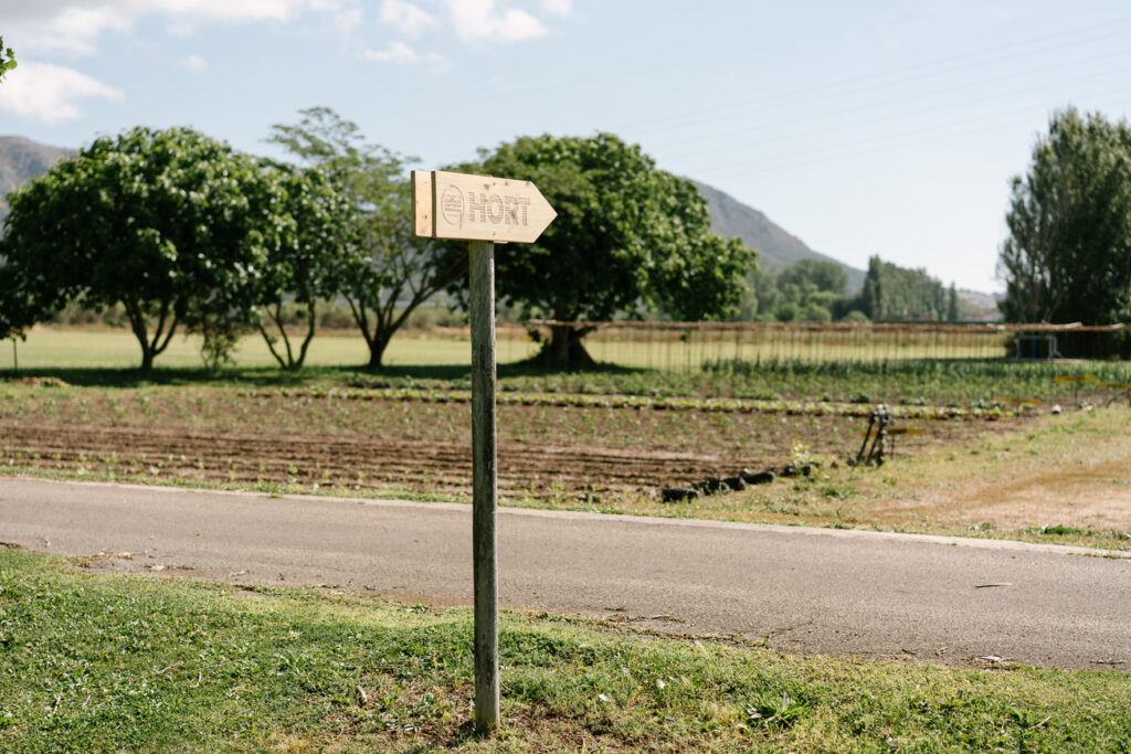 huerto