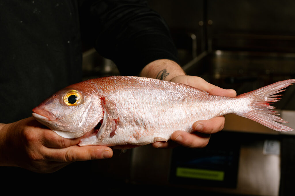 pescado