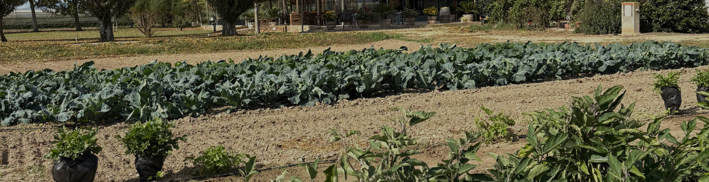 header huerto