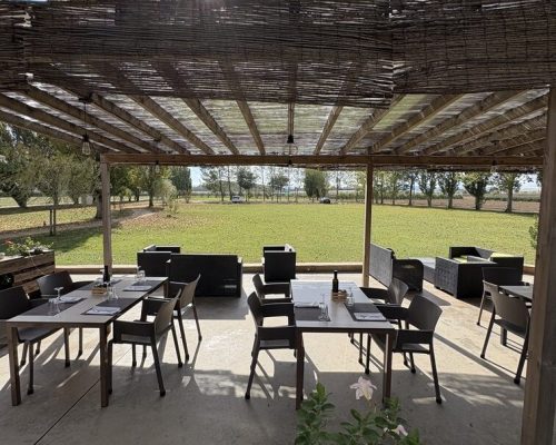 terraza